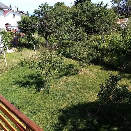Вилла Holidey *